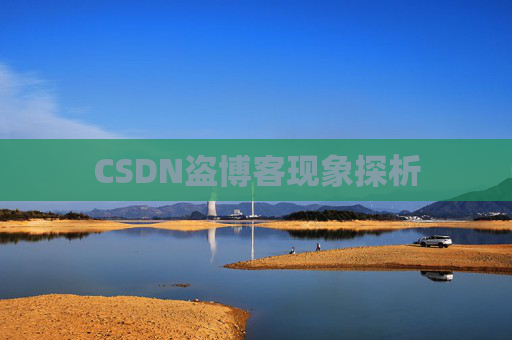 CSDN盗博客现象探析 CSDN盗博客现象探析